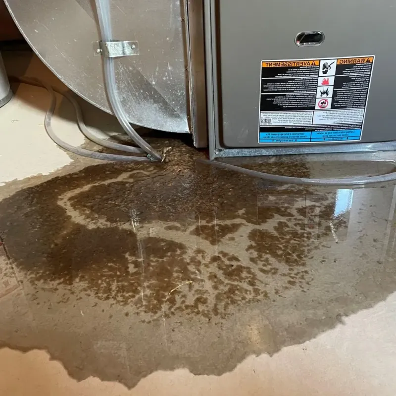 Pipe Burst and Leak Restoration in Lackawanna County, PA